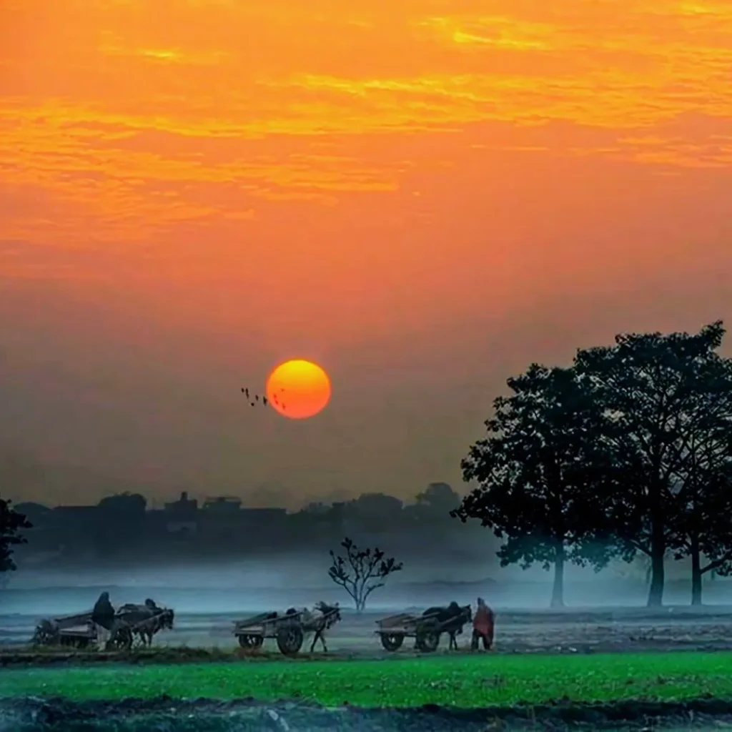 Morning view Punjab